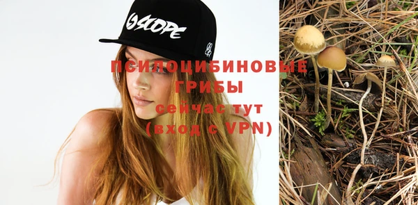 бошки Арсеньев