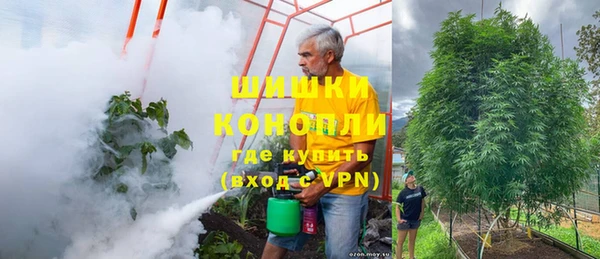 бошки Арсеньев