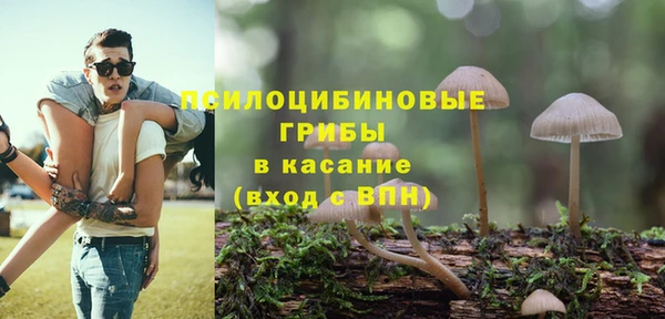 дживик Армянск