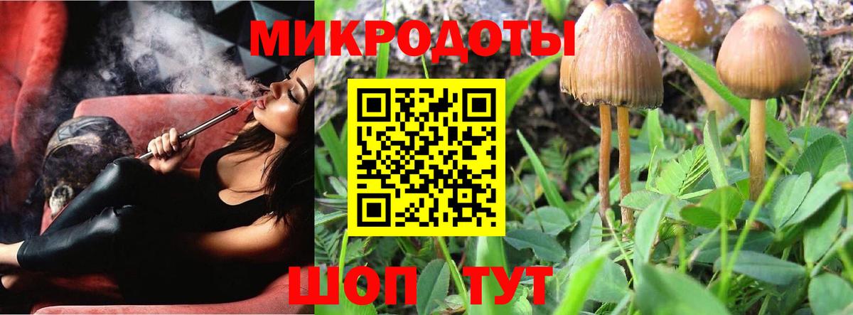 Галлюциногенные грибы Psilocybine cubensis  Вход с VPN  Чернушка 
